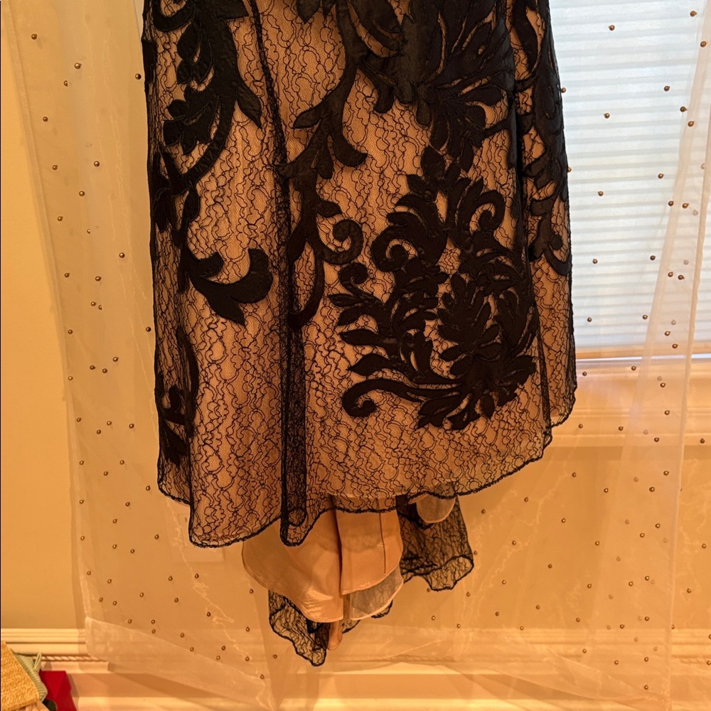 Elegant Black and Cream Lace Dress - Picture 3 of 11